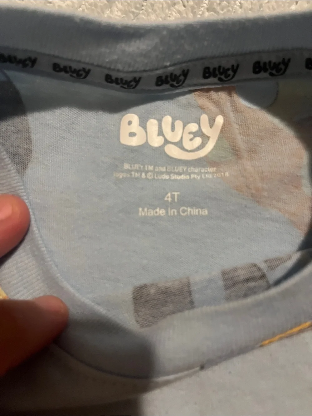 Bluey bingo set